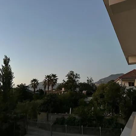 No6 * Kamez